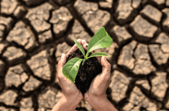 Post Graduate Diploma In Climate Change