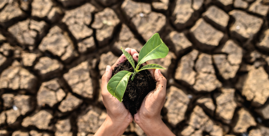Post Graduate Diploma In Climate Change